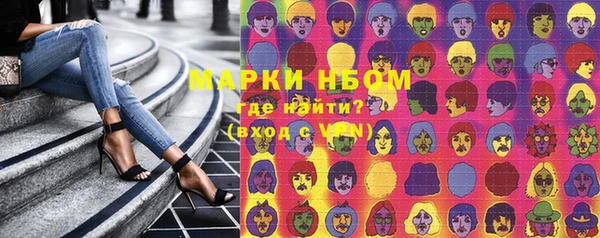 PSILOCYBIN Алзамай