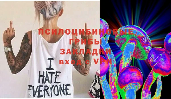 не бодяженный Алексин