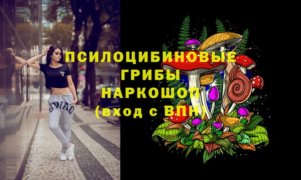 PSILOCYBIN Алзамай
