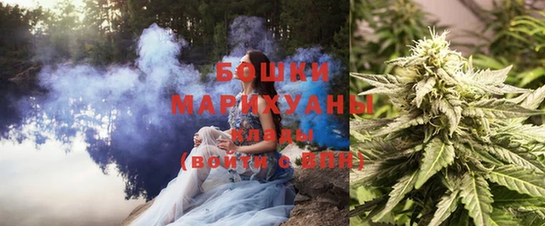 PSILOCYBIN Алзамай