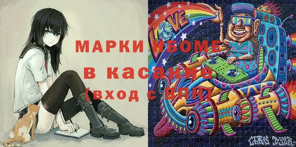 PSILOCYBIN Алзамай