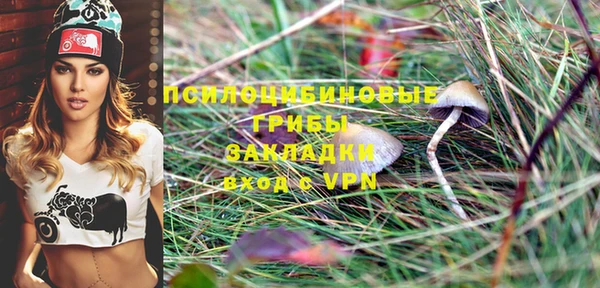 амф Алексеевка